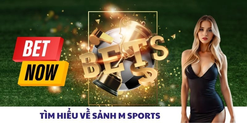 Tìm hiểu về sảnh M Sports