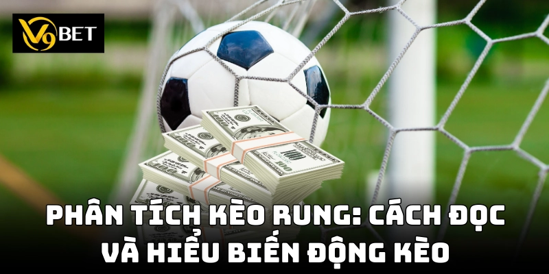 Những yếu tố quyết định tỷ lệ thắng khi chơi kèo rung