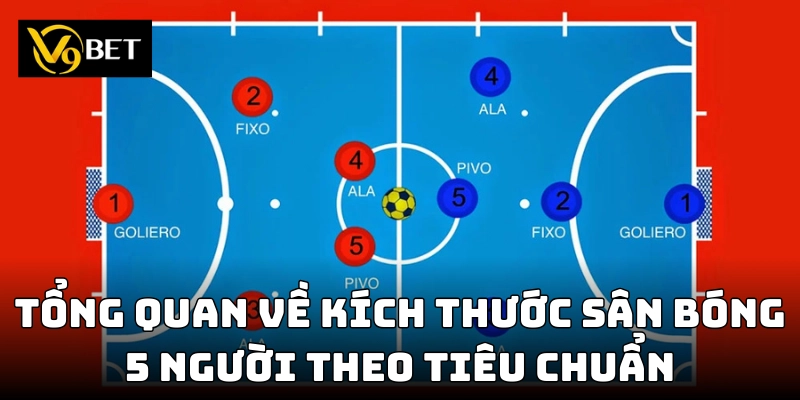 Tìm hiểu các vị trí trong sân bóng 5 người
