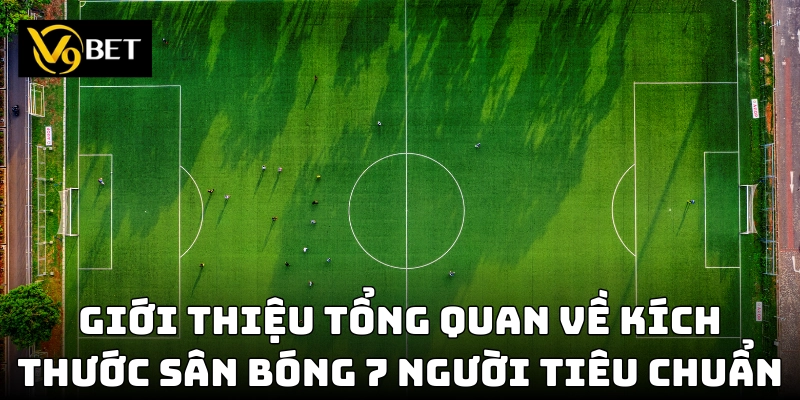 Kích thước sân bóng 7 người tiêu chuẩn theo quy định