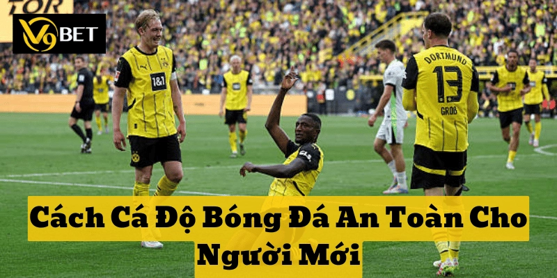 Cách Cá Độ Bóng Đá An Toàn Cho Người Mới: 3 Bước giảm rủi ro